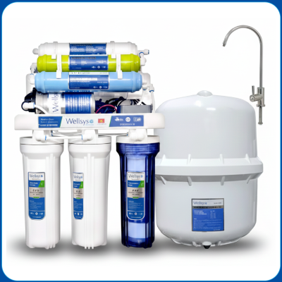 Wellsys RO-100G Water Purifier